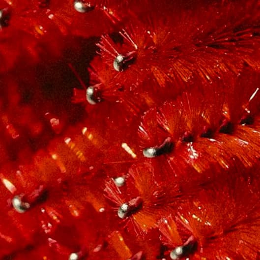 Black Friday Fill pack mini at Wink in Lubbock, TX